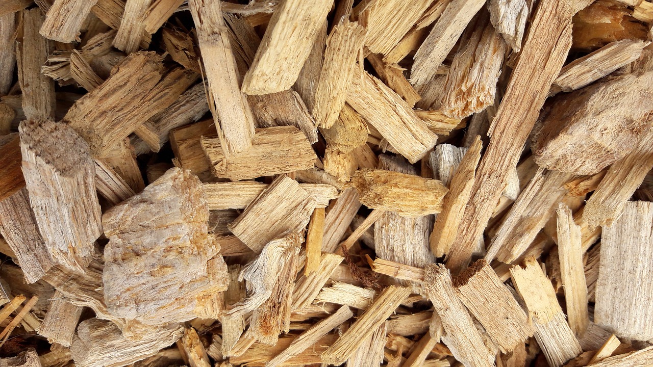 pile of wood chips